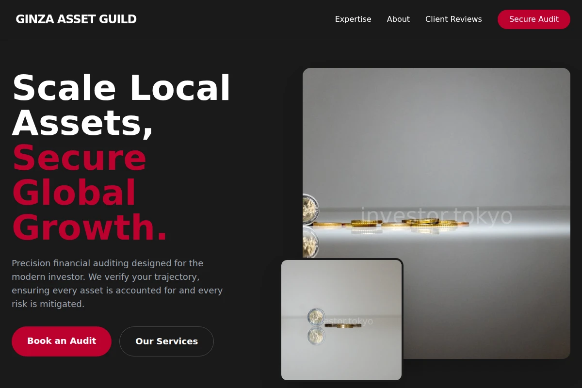 Audit Investment Advisor