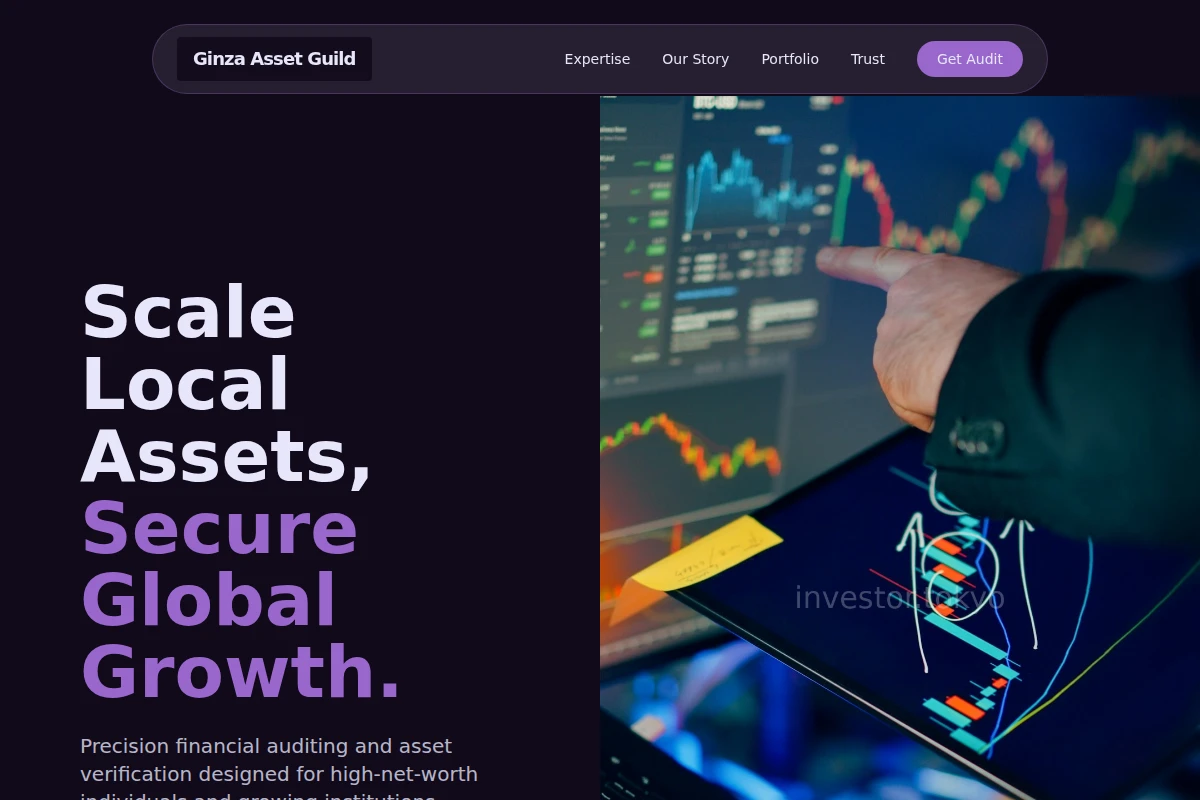 Audit Investment Advisor
